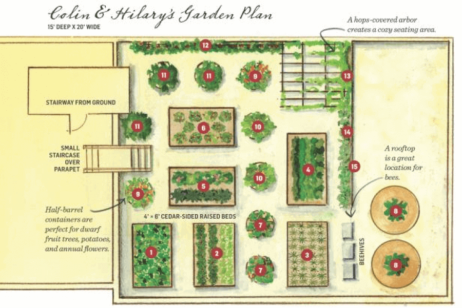 Example layout showing vegetables, herbs, and flowers in a garden